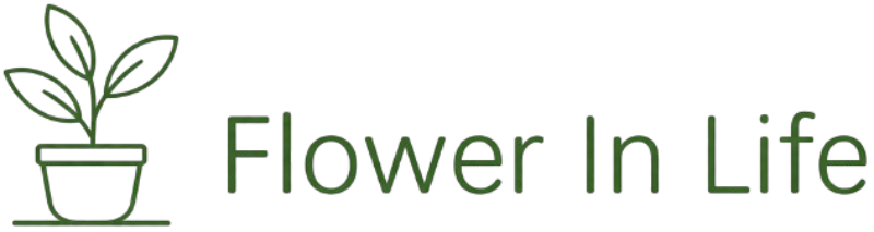 Flower In Life